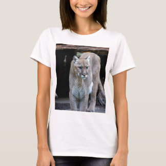 cougar t-shirt