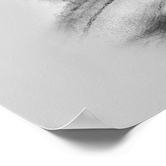 Cougar-tekening Poster (Hoek)