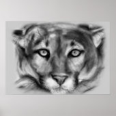 Cougar-tekening Poster (Voorkant)