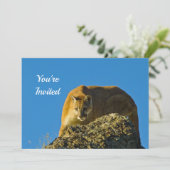 Cougar verjaardagsuitnodiging kaart (Staand voorkant)