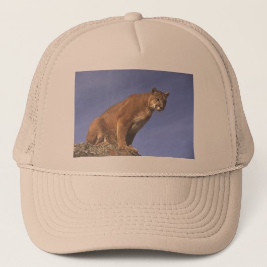 Cougar Watch Trucker Pet (Voorkant)
