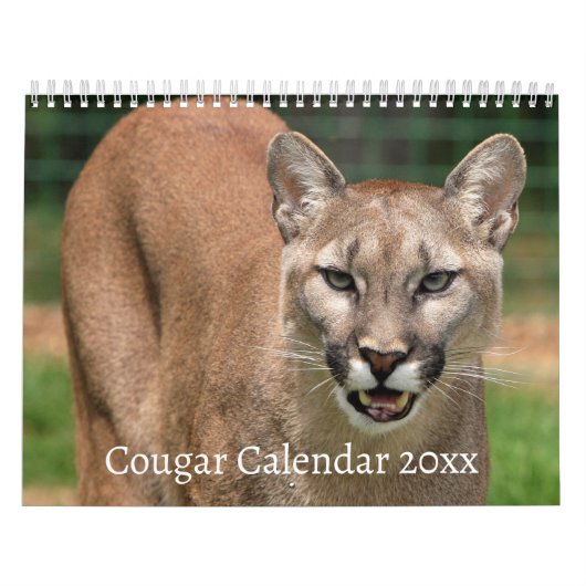 Cougar Wild Cat Kalender (Hoes)