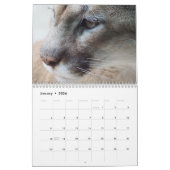Cougar Wild Cat Kalender (Jan 2026)