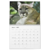 Cougar Wild Cat Kalender (Mar 2027)