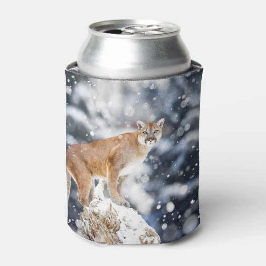 Cougar Winter Bergen Wildlife Portret Blikjeskoeler (Blikje Voorkant)