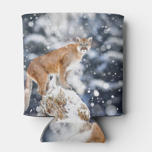 Cougar Winter Bergen Wildlife Portret Blikjeskoeler (Achterkant)