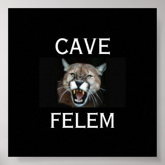 COUGARBeware van de kat - in het Latijn. -geperson Poster