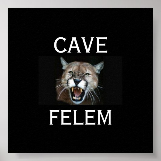 COUGARBeware van de kat - in het Latijn. -geperson Poster (Voorkant)