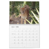Cougars kalender, Cougars/Mountain Lions Kalender (Mar 2026)