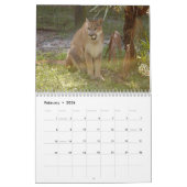 Cougars kalender, Cougars/Mountain Lions Kalender (Feb 2026)