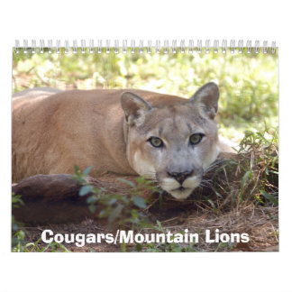 Cougars kalender, Cougars/Mountain Lions Kalender