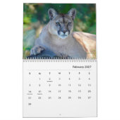Cougars wandkalender kalender (Feb 2027)
