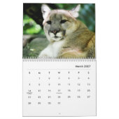 Cougars wandkalender kalender (Mar 2027)