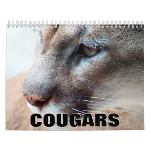 Cougars wandkalender kalender