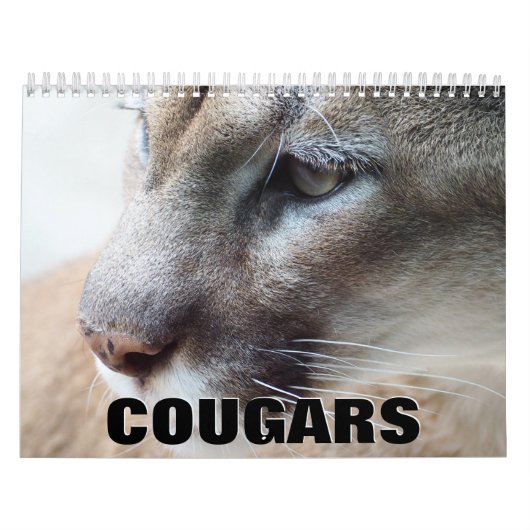 Cougars wandkalender kalender (Hoes)