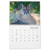 Cougars wandkalender kalender (Feb 2026)
