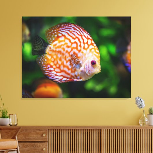coulerful fish canvas afdruk (Insitu (Woonkamer))