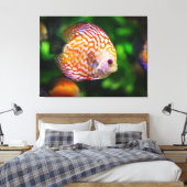 coulerful fish canvas afdruk (Insitu (Slaapkamer))