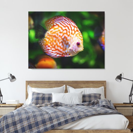 coulerful fish canvas afdruk (Insitu (Slaapkamer))