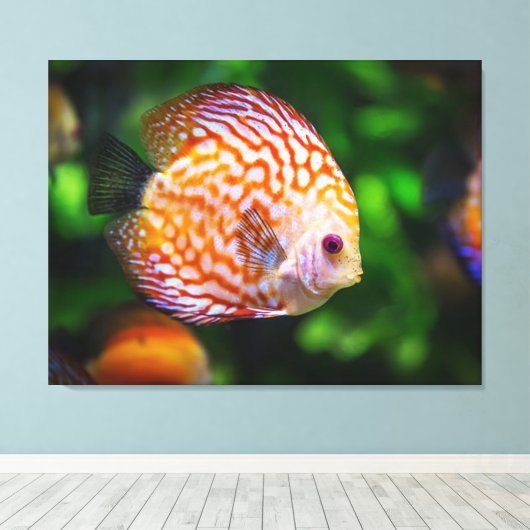 coulerful fish canvas afdruk (Insitu (Houten vloer))