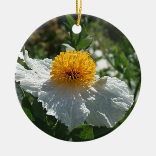 Coulter's Matilija Poppy Keramisch Ornament (Voorkant)
