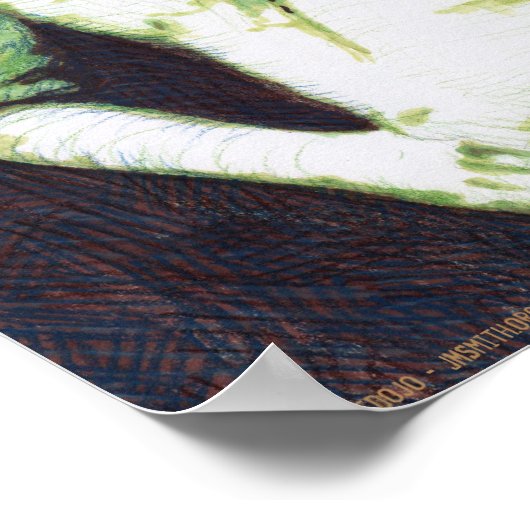 Count Koma Poster (Hoek)