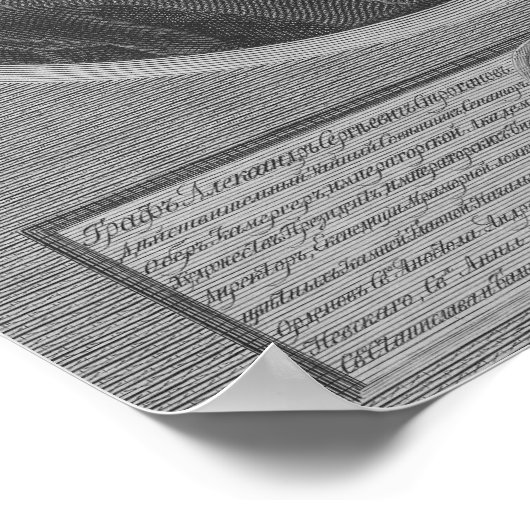 Count Stroganov Poster (Hoek)