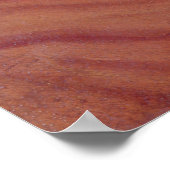 Countess Therese Brunswick Poster (Hoek)