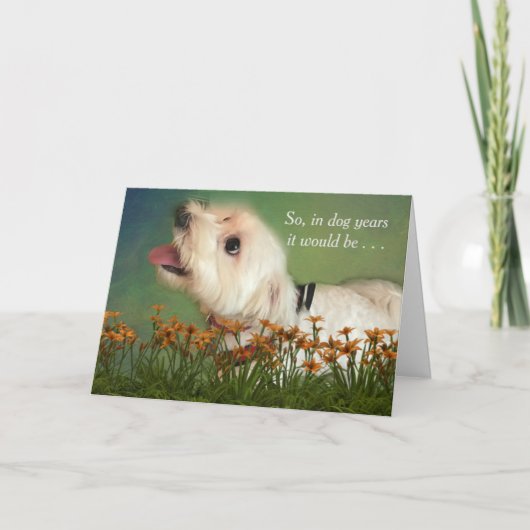 Counting in Dog Years Birthday Kaart (Voorkant)