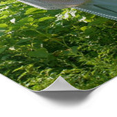 Country Boerderij Scarecrow Poster (Hoek)