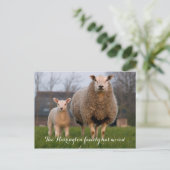 Country Boerderij Sheep Moving Aankondigingskaart (Staand voorkant)