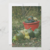 Country Garden Oogst Natuurfeest Kaart (Achterkant)