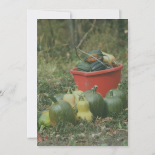 Country Garden Oogst Natuurfeest Kaart (Achterkant)