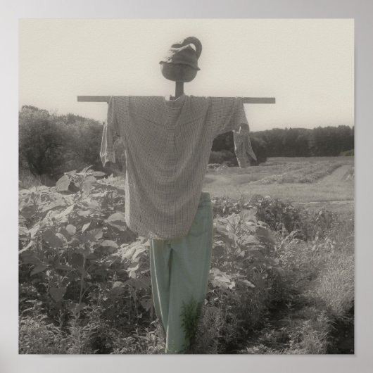 Country Garden Scarecrow  Partiële Kleur Poster (Voorkant)