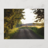 Country Girl Briefkaart (Voorkant)