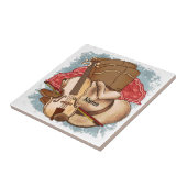 Country Music  Tegeltje (Zijkant)