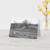 Country Road 7 x 5 Folded Greeting Card - wit Kaart (Gele Bloem)