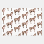 Country Road Horse Cowgirl Pet Verjaardag Inpakpapier Vel (Voorkant)