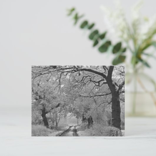 Country Road in Winter: Cheshire, Engeland Briefkaart (Staand voorkant)
