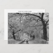 Country Road in Winter: Cheshire, Engeland Briefkaart (Voorkant / Achterkant)