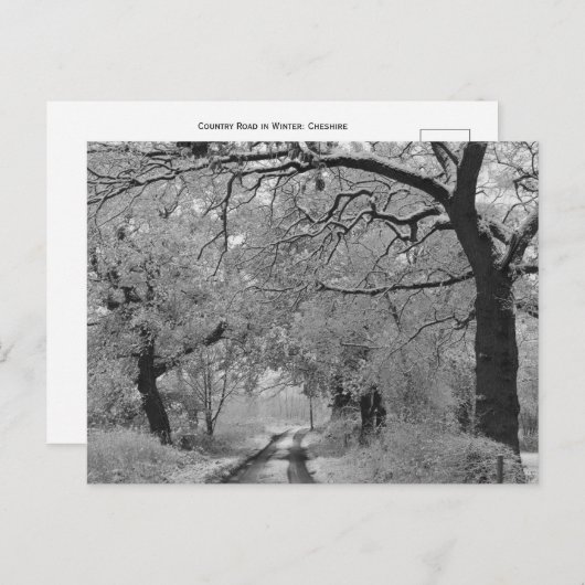 Country Road in Winter: Cheshire, Engeland Briefkaart (Voorkant / Achterkant)