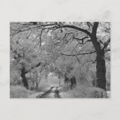 Country Road in Winter: Cheshire, Engeland Briefkaart (Voorkant)