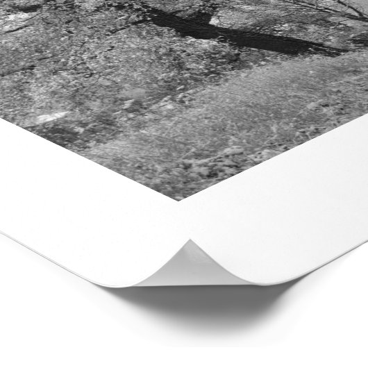 Country Road in Winter: Cheshire, Engeland Poster (Hoek)