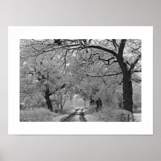 Country Road in Winter: Cheshire, Engeland Poster (Voorkant)