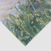 Country Rustieke Schuur Blauwe Hemel Zonnestralen Tissuepapier (Detail)