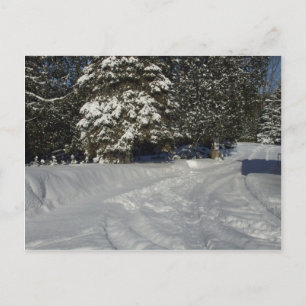 Country Snowy Driveway Briefkaart