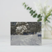 Country Snowy Driveway Briefkaart (Staand voorkant)