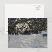 Country Snowy Driveway Briefkaart (Voorkant / Achterkant)