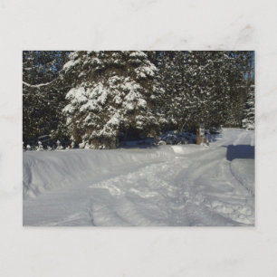 Country Snowy Driveway Briefkaart