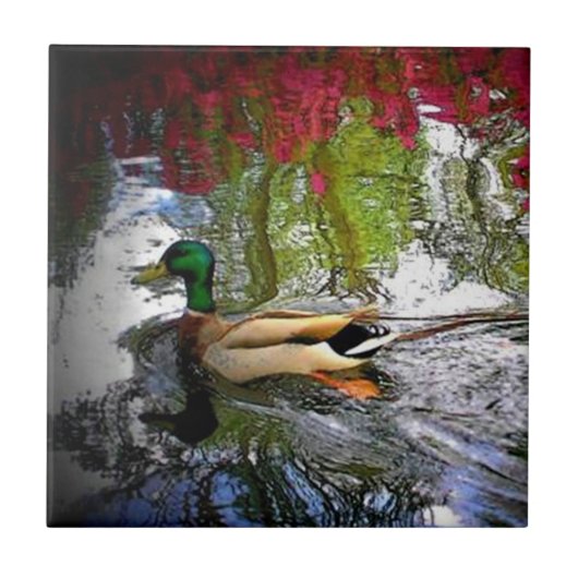 Country Southern Duck Tegel Tegeltje (Voorkant)